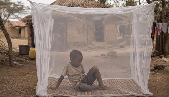 Rectangular mosquito net